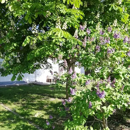 Ferienwohnung Lodig